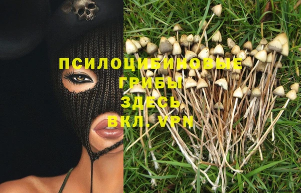 крисы Навашино