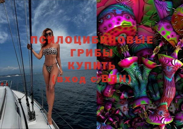 гидропоника Надым