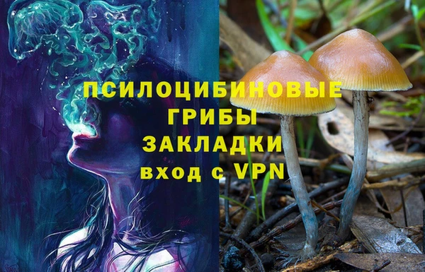 гидропоника Надым
