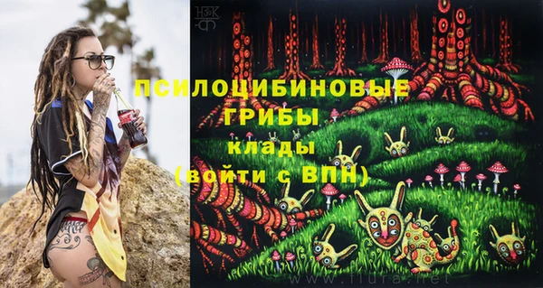 mdma Гатчина