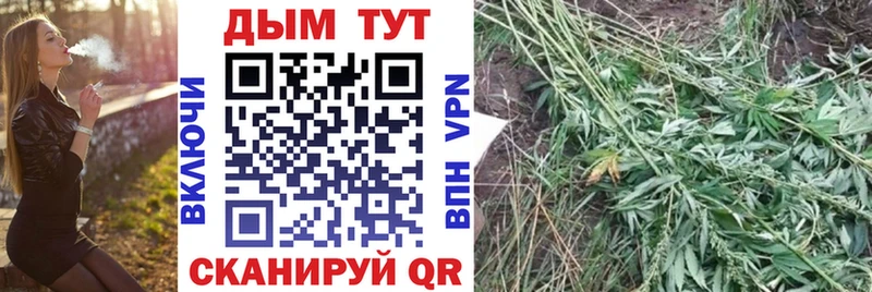 дарк нет официальный сайт  наркота  Нижняя Тура  Канабис White Widow 